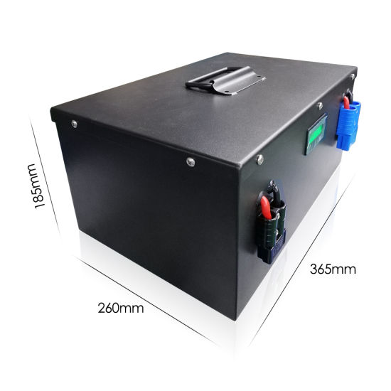 Deep Cycle Batterie Lithium LiFePO4 24V 100ah for Solar System/Motor Home/Boat/Golf Carts Car Battery