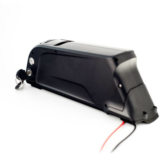 Downtube Dolphin Type Ebike Battery Lithium Battery for 48V Electric Bicycle