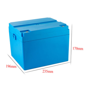 Lithium LiFePO4 Battery 12V for Electric Vehicle