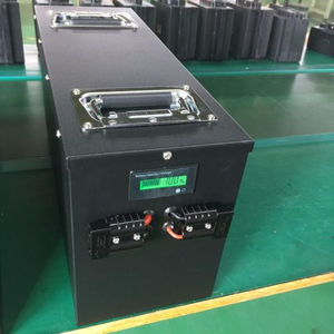 Portable Battery 48V 50ah Lithium Battery LiFePO4 for Electric Motorcycle
