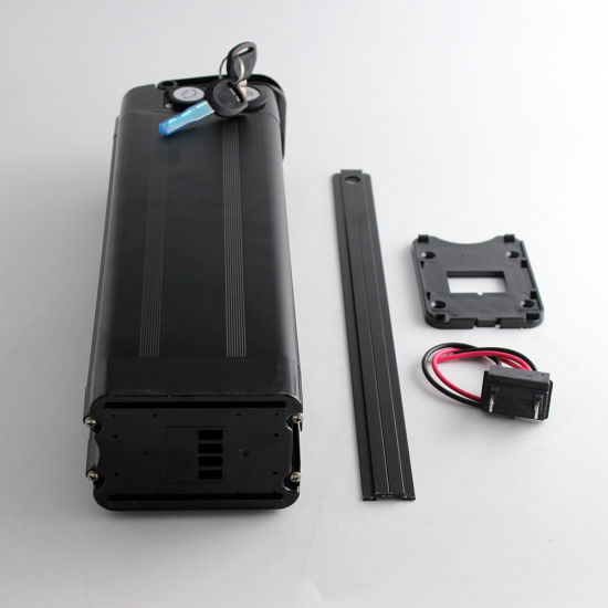 48V 20ah Lithium Battery Pack for 500W/ 750W/ 1000W Electric Bike