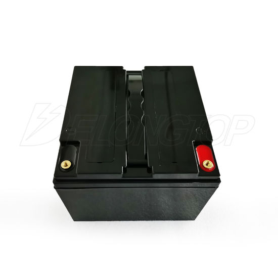 Factory Direct Customized Lithium LiFePO4 12V 25ah Battery Pack with BMS