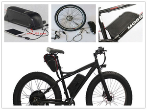 OEM Rechargeable Li Ion 36V 10ah 12ah 15ah Dolphin Type Electric Bike Battery