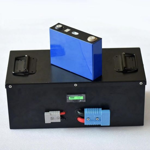 LiFePO4 Battery 12V 200ah for Tourist Car with BMS 100ah
