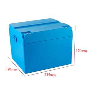 12V 100ah Can OEM/ODM 24V 200ah LiFePO4 Lithium Battery Pack